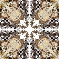 Luxury Marble Fluid Abstract Background
Symmetrical abstract fluid art background in elegant brown, gold, and black tones.