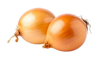 Two mature, spherical alliums, with dry, golden-brown skins, isolated on black background