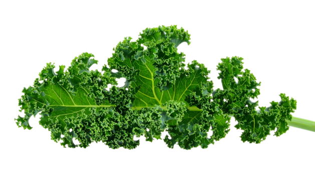 Close-up of a single, vibrant green leafy vegetable on a black background
