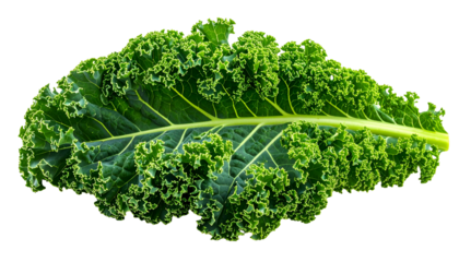 Close-up of a vibrant green kale leaf with intricate curly edges, set against a black backdrop