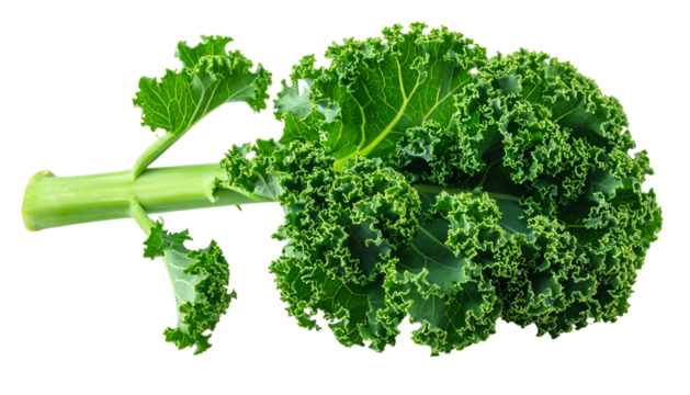 Close-up of a vibrant green kale leaf with a detailed texture against a black backdrop