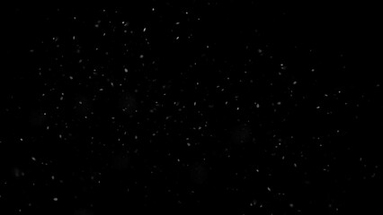 Winter freeze motion of white snow coming down, isolated on black background. Snowfall texture overlay.