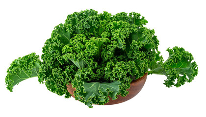 Close-up of vibrant green curly kale overflowing from a wooden bowl against a black background