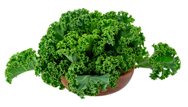 Close-up of vibrant green curly kale overflowing from a wooden bowl against a black background