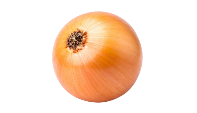 Overhead shot of a whole, spherical, light-brown bulb with a dark, textured base
