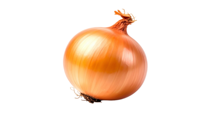 A whole, golden-brown onion, isolated against a black background