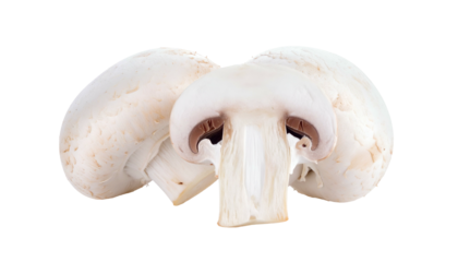 Close-up studio shot of sliced and whole button mushrooms against black backdrop