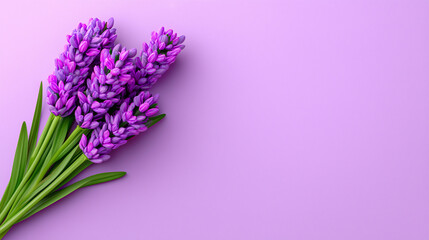 Fototapeta premium Overhead Top-View Composition with Lavender Sprig on Pastel Background