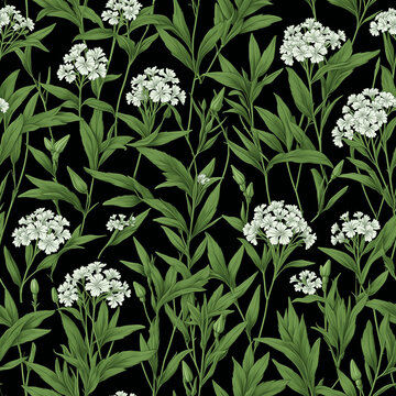 Seamless valerian wildflowers floral seamless pattern with airy white umbels and green foliage on black background - AI generated