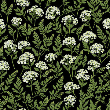 Seamless yarrow floral seamless pattern with white umbels and ferny foliage on black background for refined surface design - AI generated