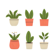 Set of home potted plants 