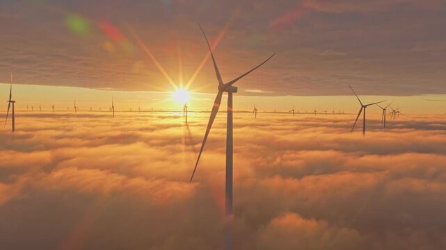 Offshore wind turbines at the Afsluitdijk under low clouds during sunrise.