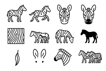 Obraz premium Zebra Icon Collection. Zebras. Line icon set of Zebras: standing zebra, running zebra, zebra head, zebra face close-up, zebra stripes pattern, zebra with foal,