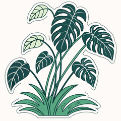 Obraz premium plant sticker on white background