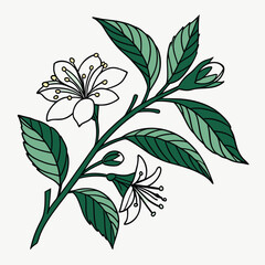 plant sticker on white background
