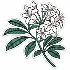 plant sticker on white background