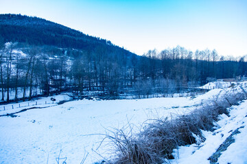 beautiful snowy winter landscape, cold misty morning weather, rural Germany, mountain village, frozen path, wooden pedestrian bridge in forest, tranquil nature scene, crisp alpine air