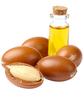 Argun Nuts and Oil with Green Leaves - Transparent Background - Cracked open nuts Falling - Food Image for Health and Beauty - Raw Food and Cosmetic Ingredient - Hair Shampoo and Vitamin Benefits