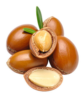 Argun Nuts and Oil with Green Leaves - Transparent Background - Cracked open nuts Falling - Food Image for Health and Beauty - Raw Food and Cosmetic Ingredient - Hair Shampoo and Vitamin Benefits