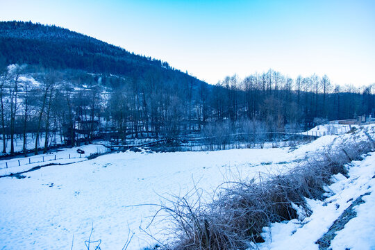 beautiful snowy winter landscape, cold misty morning weather, rural Germany, mountain village, frozen path, wooden pedestrian bridge in forest, tranquil nature scene, crisp alpine air - Powered by Adobe