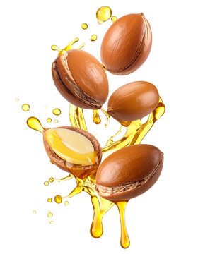 Argun Nuts and Oil with Green Leaves - Transparent Background - Cracked open nuts Falling - Food Image for Health and Beauty - Raw Food and Cosmetic Ingredient - Hair Shampoo and Vitamin Benefits