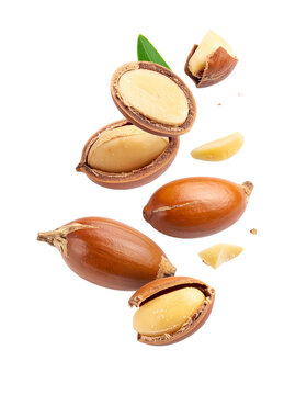 Argun Nuts and Oil with Green Leaves - Transparent Background - Cracked open nuts Falling - Food Image for Health and Beauty - Raw Food and Cosmetic Ingredient - Hair Shampoo and Vitamin Benefits