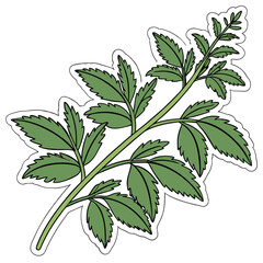 plant sticker on white background