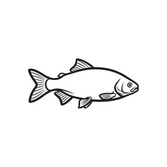 Rohu fish outline vector flat illustration design