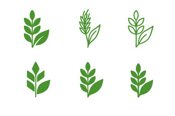 Naklejka premium Plant-Based Logo Variations. Plant-Based Diet. Icon set. Set Logo of Plant-Based Diet: grain stalk and leaf design. harmonious logo variations of the same