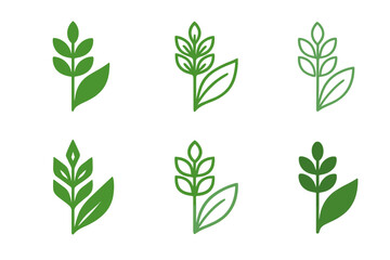 Naklejka premium Plant-Based Logo Variations. Plant-Based Diet. Icon set. Set Logo of Plant-Based Diet: grain stalk and leaf design. harmonious logo variations of the same