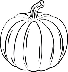 pumpkin isolated on white