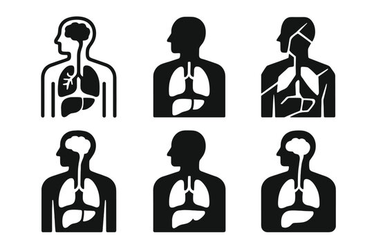 Human Anatomy Logos. Human anatomy. Icon set. Set Logo of human anatomy: internal organs cross-section. harmonious logo variations of the same emblematic
