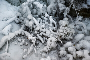 A snow covered tree branch with ice on it. The ice is in various shapes and sizes