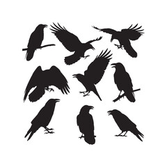 Raven Crow Black Bird Silhouette Set