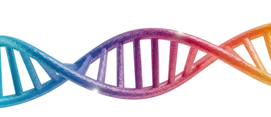 Colorful dna double helix transparent background cutout png