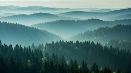 Obraz premium Paisaje brumoso con bosque de abetos en estilo retro vintage. IA generativa