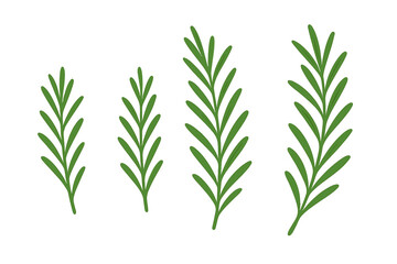 Simple stylized green rosemary sprigs isolated on white background for culinary use