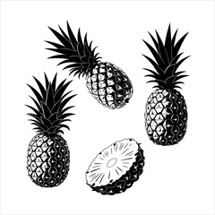 Pineapple illustration isolated on white background