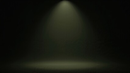 An empty stage with a spotlight shining down, creating a dramatic and focused atmosphere.