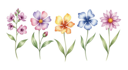 Naklejka premium Watercolor flowers collection transparent background cutout png