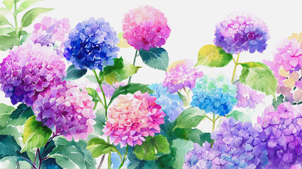 Elegant wedding invitation card background . Minimal hand painted watercolor Hydrangea flowers texture template background. Design for wedding, vip cover, poster, rsvp moderncard.Valentine's Day