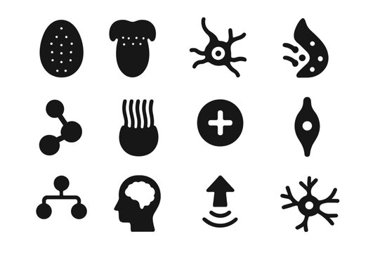Taste Receptor Icons. Taste receptors. Solid icon set of Taste receptors: taste bud, tongue papillae, receptor icon, nerve signal, molecule binding,