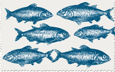Conjunto de peces de estilo grabado antiguo, una ilustraci&oacute;n vectorial detallada que captura la esencia de la vida marina.