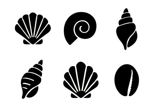 Six black seashell silhouettes isolated on white background for marine and ocean design