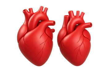 Human hearts for medical study and health care with transparent background, illustrating cardiology and life concepts