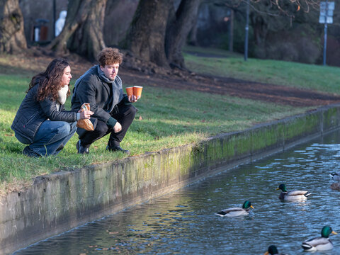 Man and woman squatting in the park by a pond and feeding ducks