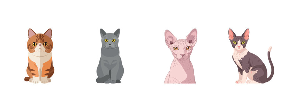 Cartoon illustrations of adorable different cat breeds on white background