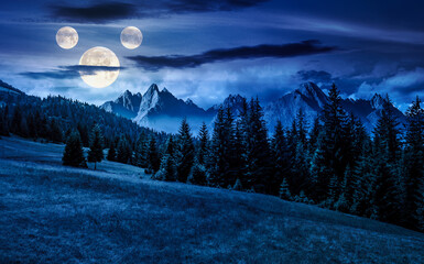 spruce forest on grassy slope at night. composite landscape with High Tatra mountains in the...