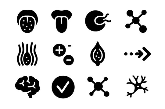 Taste Receptor Icons. Taste receptors. Solid icon set of Taste receptors: taste bud, tongue papillae, receptor icon, nerve signal, molecule binding,