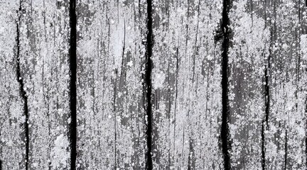 Obraz premium Frosty Wooden Surface Covered with Snow